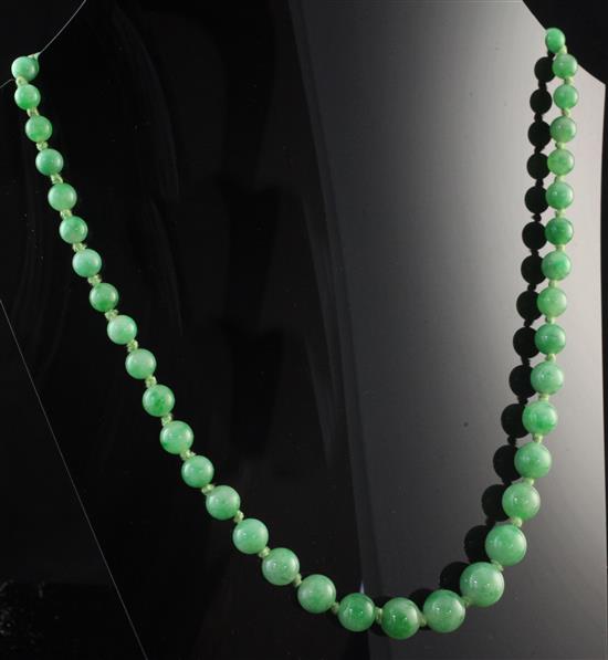 A single strand graduated jadeite bead necklace, 16.5in.